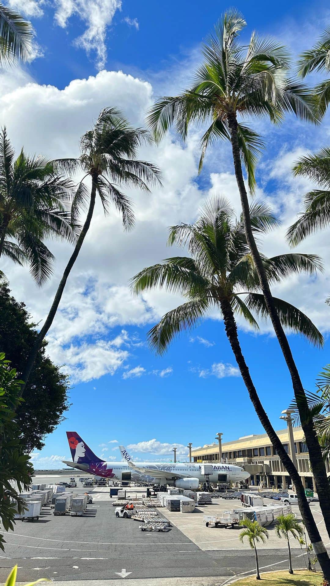 Belle Vie Hawaiiのインスタグラム：「今回はホノルルの空の玄関口、 ダニエルKイノウエ国際空港の様子をお届け🌴  南国ならではのオープンエアーなので、 ヤシの木が似合うハワイアン航空機はじめ 様々な飛行機が目の前に見えるのも ワクワクしますね✈️  ハワイ土産も充実のラインナップで ついついあれもこれもとお買い物してしまいそうです😆  ＼Z.ビガッティ15%オフ／ エイジングケアの決定版Z.ビガッティが 全品15%OFF🈹 クーポンコード: ZV1515 セール期間:10月21日（土）まで ※店頭ハワイ時間/ WEB日本時間 ※WEB注文は上記クーポン使用で割引適用 ※定期購入除外  店頭営業時間: 10am-9pm 無休 上記以外にも店頭だけのお買い得商品多数あり💓 詳しくは店頭でお尋ねください  Open Daily 10am-9pm Instagram in English @belleviehawaii.en   #honoluluairport  #hawaii  #ホノルル空港  #ダニエルkイノウエ国際空港  #ハワイ旅行  #アロハ  #ハワイアン航空  #空港  #ハワイ好きな人と繋がりたい」