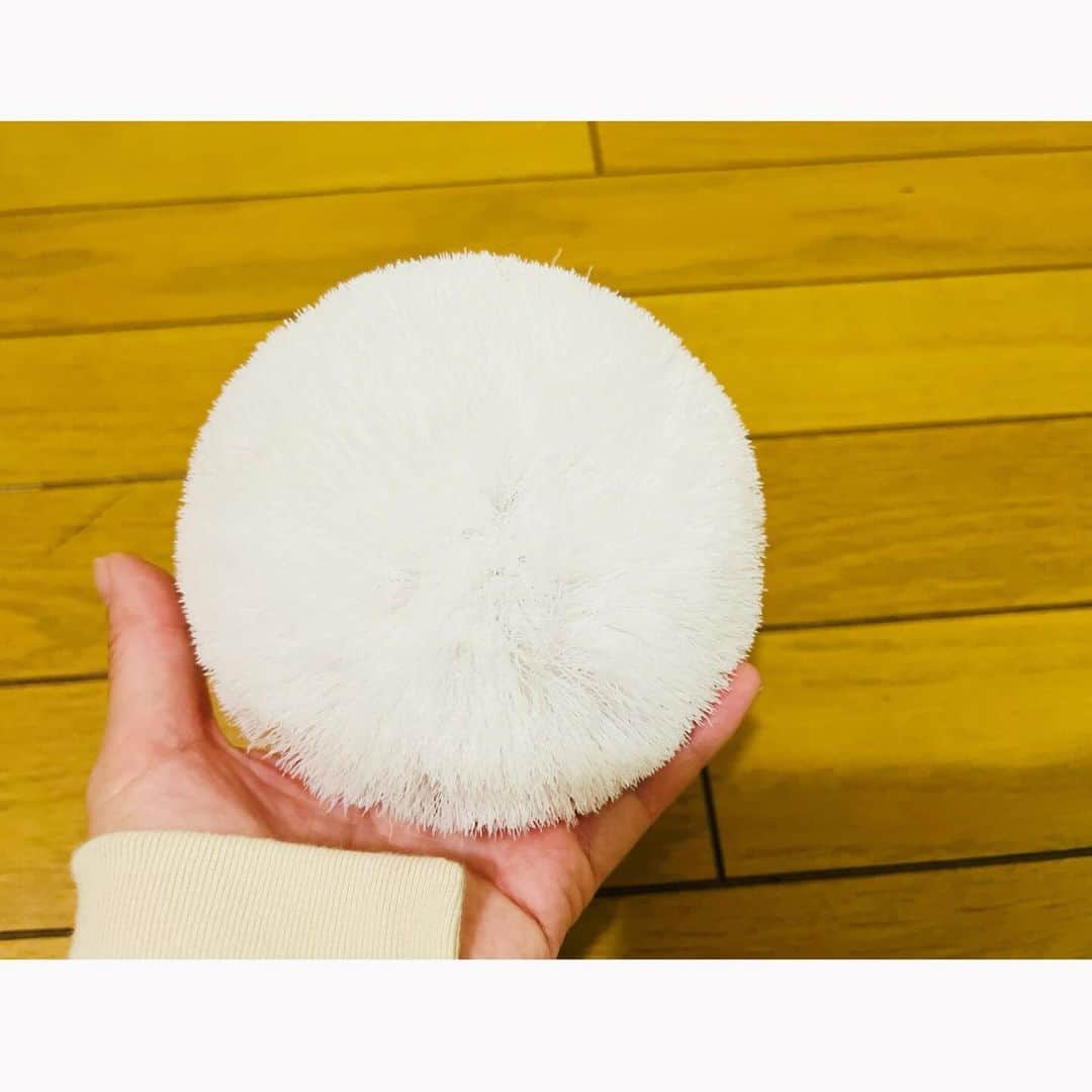 にしおかすみこさんのインスタグラム写真 - (にしおかすみこInstagram)「講談社FRaU web 『ポンコツ一家』 第26回が出ました。　 （ストーリーズハイライトからも見られます） 前編、後編あります。読んでみてください☺️  書籍も発売中です✨ #ポンコツ一家#講談社#FRaU#フラウ #認知症#ダウン症#酔っ払い#一発屋#家族#にしおかすみこ （次回は11月20日月曜予定）  #余談 #写メ #玄関 花瓶の花はいつも母が整えてくれている😊  その手前に、私は掃除で使った濡れたブラシを乾かそうと床に置きっぱなしにしていたら、  母がそれを遠めにジッと見て、 少し近づいてはジッと見てを繰り返し、 目の前までいって振り返り、私に向かって 「びっくりした〜。茶碗いっぱい山盛りのご飯かと思って。なんでこんなとこにお供えしてるのか、すみの気持ちが理解できなくてどうしようってなってた。なんだあ〜」と。  笑っちゃった😂  #ブラシ #何用かわからない #そこらを擦るとき使っている」10月20日 6時07分 - nishioka_sumiko