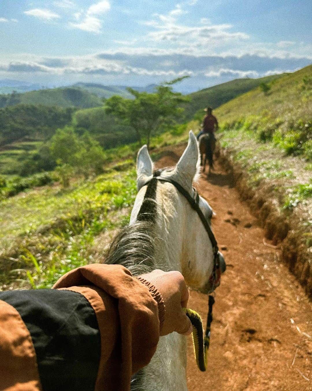 Bruno Gagliassoのインスタグラム：「Memórias do @ranchodmontanha 🏔️🐶🐣🐮」