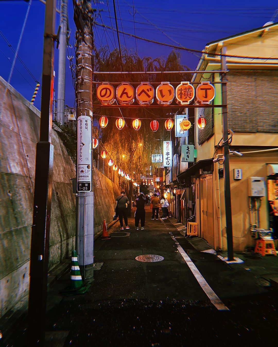 高橋メアリージュンのインスタグラム：「のんべい横丁楽しかったー！🏮おいしく頂きました！ ごちそうさまでした🙏  #ごちそうさまチャレンジで飢餓をなくそう  #のんべい横丁 #nonbeiyokocho  #tokyotrip #東京観光 #tokyoexperience」