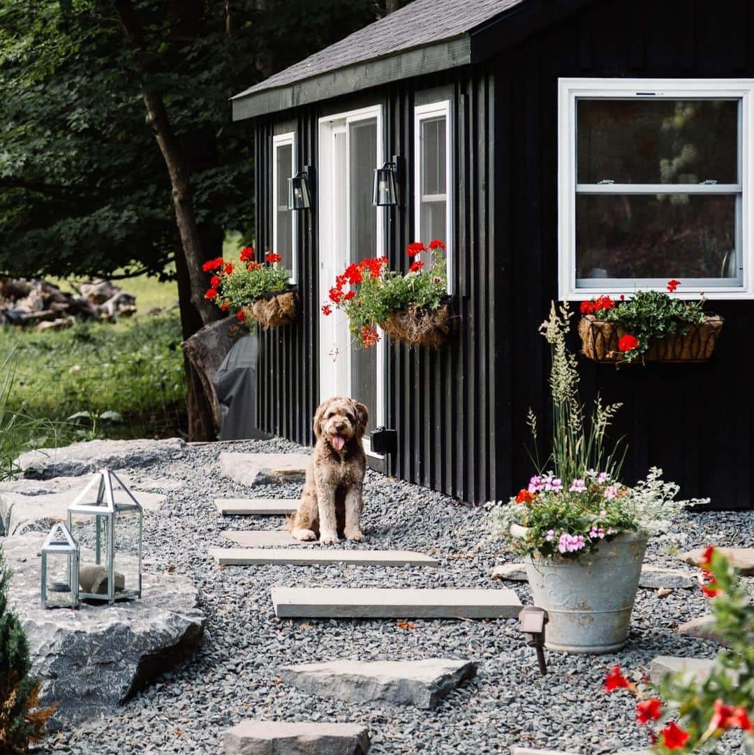 HGTVのインスタグラム：「Dogs + impeccable home design = A winning combination 🐶⁠ ⁠ If you need a mid-week boost, swipe through ➡️ these absolutely paw-fect photos. ⁠ ⁠ Head to the 👉 link in bio for more adorable pictures of pups. #HGTVDesign⁠ ⁠ 📸: @nickglimenakis, @juliesoefer, @thedesignatelier, Eron Rauch, @landmarkphotostudio, @kathrynbarnardphoto, @landmarkphotostudio, @wrsphoto, @tomasespinozaphotography」