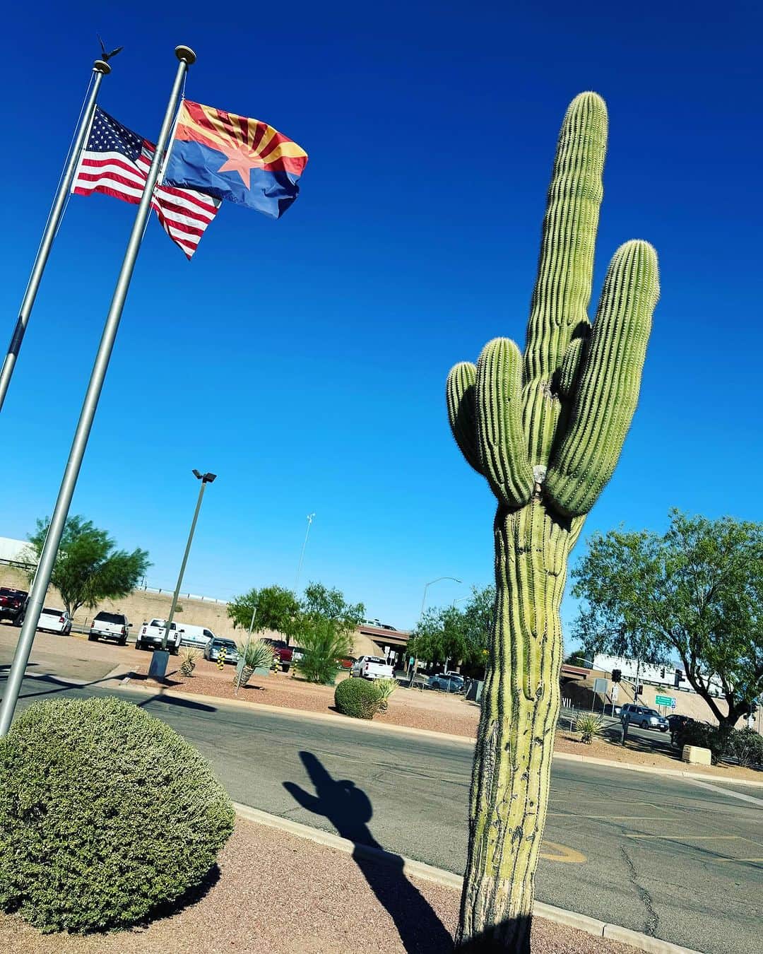 木村真野・紗野のインスタグラム：「🇺🇸🌵Long time no see,Arizona🙌🏻 #Arizona #アリゾナ　#トゥーソン　#tucson #competition #7年ぶり　#サボテン　ばっかり」
