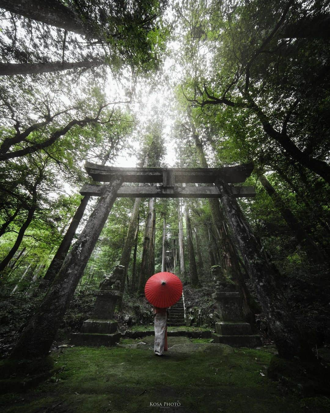 コサさんのインスタグラム写真 - (コサInstagram)「ずっと行きたいと思ってた瀧神社  次は雪が積もる頃に行きたいなぁ❄️ . Location:岐阜 Gifu /Japan🇯🇵 Date:2023年10月 in frame: @chami_2nd  Camera:Z9 / LAOWA 9mm F5.6 W-Dreamer . #瀧神社 #tanddフォトコンテスト2023 #ワクワク #Japan_Daytime_View #japancityblues #jp_portrait_collection #ポトレファン倶楽部 #ポトレ撮影隊 #jp_portrait部 #clv_galerie #japangem #explorejpn #japanlives #gogifu #mf_landscape #invisible_cool_part #m_v_shotz #raw_japan #japan_best_pic #Rox_Captures #tokyocameraclub #japan_bestpic_ #jgrv_member #team_jp_ #photo_jpn #sorakataphoto #LBJ_KING #Lovers_Nippon #japan_waphoto #special_spot_legend」10月20日 7時22分 - kosa_photo