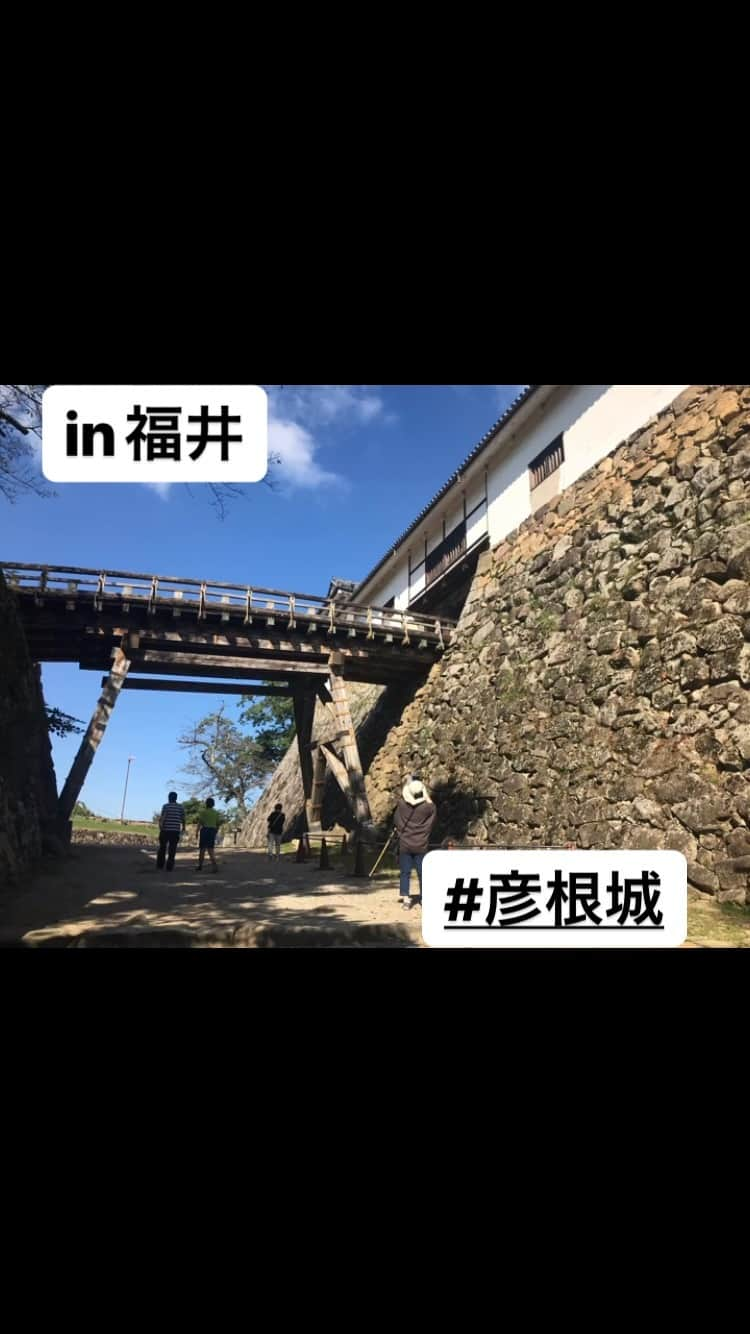 静岡グルメ情報のインスタグラム：「#in福井 #彦根城」