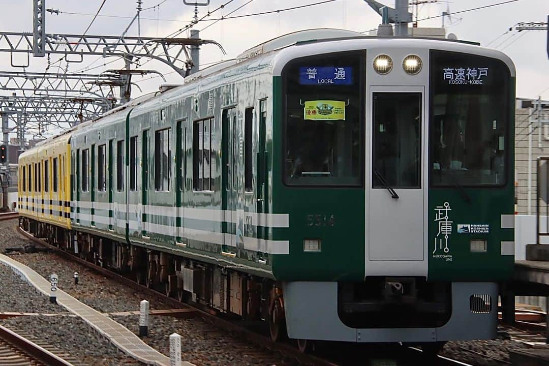 徳永ゆうきのインスタグラム：「. . 武庫川線用5500系が 3日間限定で本線運用に。 . 運良く運用最終日、 仕事で帰阪してたので ステージ前にパシャリ！！ . -2023.10.01- . #鉄道写真 #撮り鉄 #鉄道好き #阪神電鉄 #阪神電車 #甲子園駅 #5500系 #甲子園号 #タイガース号 #普通 #高速神戸行き #阪神タイガース #タイガース #武庫川線 #武庫川線用車両」