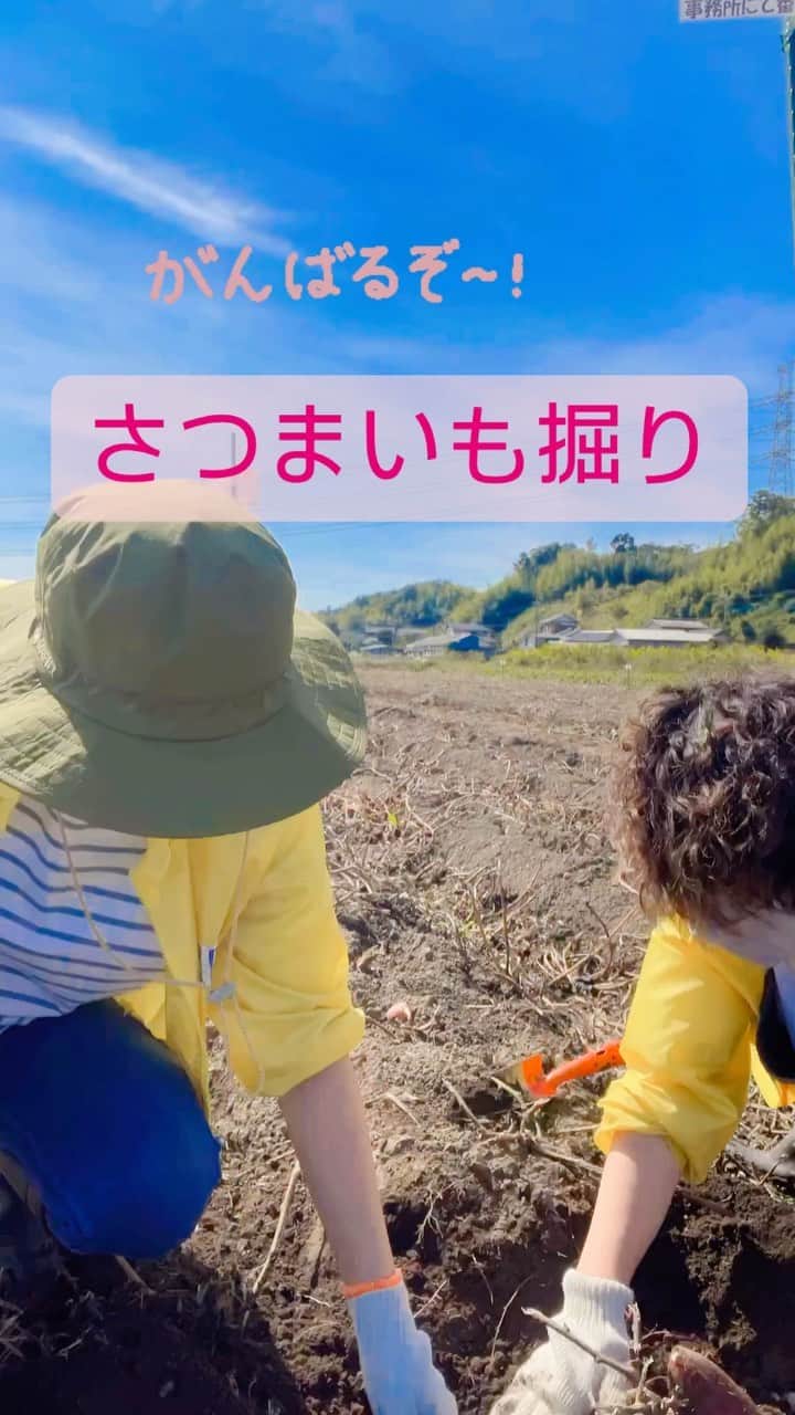 道の駅やちよのグルメインスタ