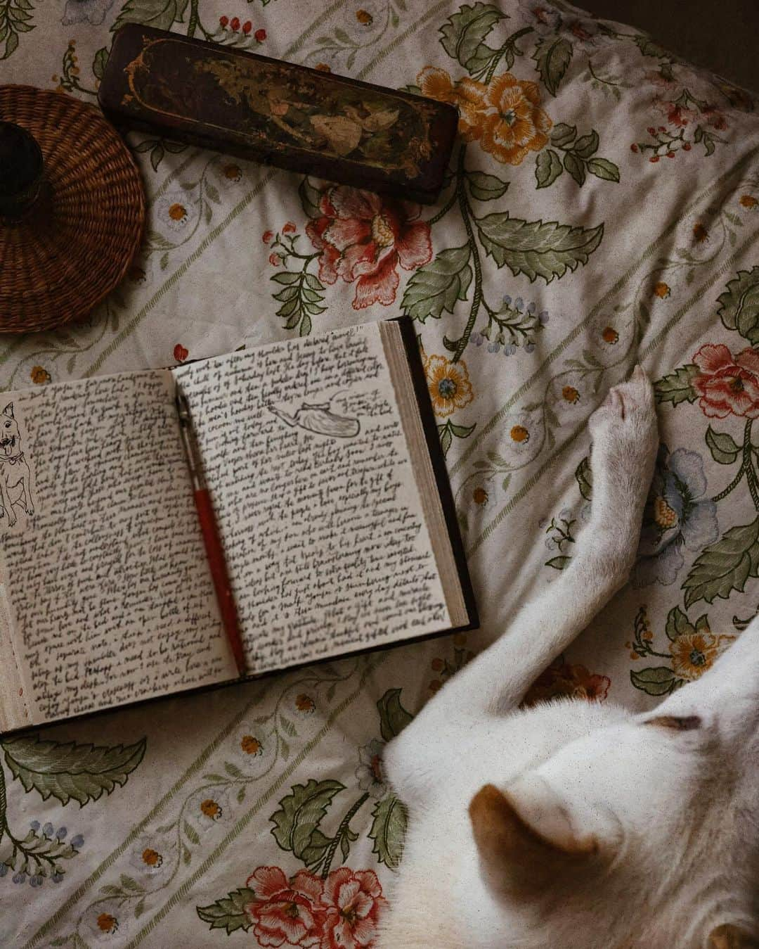 Catharine Mi-Sookさんのインスタグラム写真 - (Catharine Mi-SookInstagram)「Journaling and a sweet smush. Not all mundane feels mundane.」10月20日 8時55分 - catharinemisook