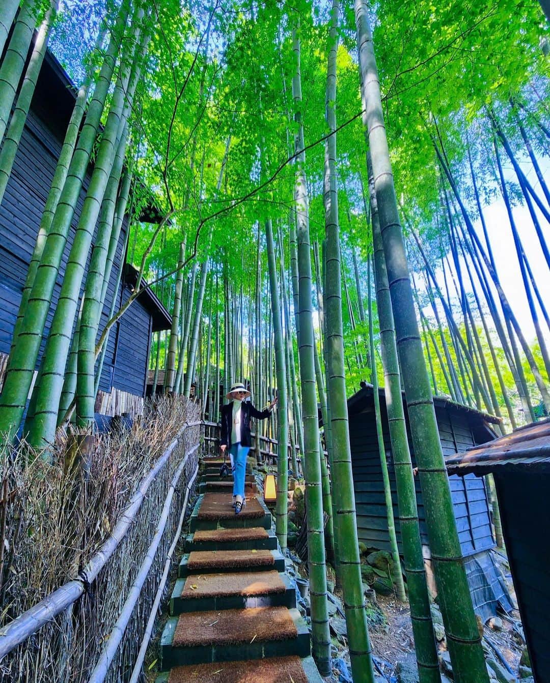 Syahriniさんのインスタグラム写真 - (SyahriniInstagram)「•  ~ Surrounded By The Bamboos ~  ______________________ ~𝓢𝓨𝓡~ ____________________  #PrincesSyahrini #Kumamoto_Japan #October2023」10月20日 8時57分 - princessyahrini