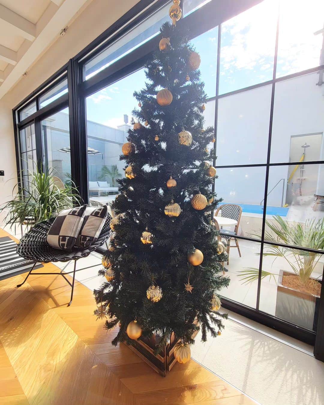 三喜本惠美のインスタグラム：「・ #クリスマスツリー を飾りましたよ🎄  何だか年々1年があっという間に感じる方も 多いかと思います… 毎週のように色んな事が起こりますが それもすぐに過ぎ去り…  日々反省 日々学び」