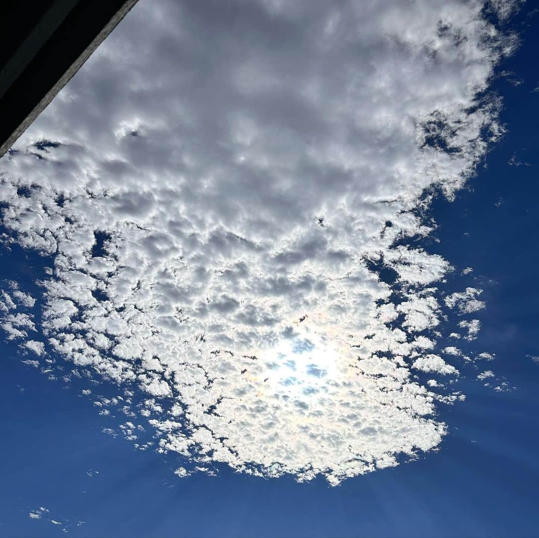 JILLのインスタグラム：「今日は風が強い。 気持ちいいけど。 雲が刻一刻 形を変えて行きます。 泡のような雲たち。 おはよう☀  ———————————— #10月29日REDROCKS #11月03日西条市ストーンハンマー #11月04日西条市こけら落とし #12月30日大手町三井ホール ———————————— #jillpersonz  #personz  #youtubepersonzチャンネル #note  #jillpersonz  #エアプレ #JILLプレ #ラジオ高崎 #三味線jill屋」