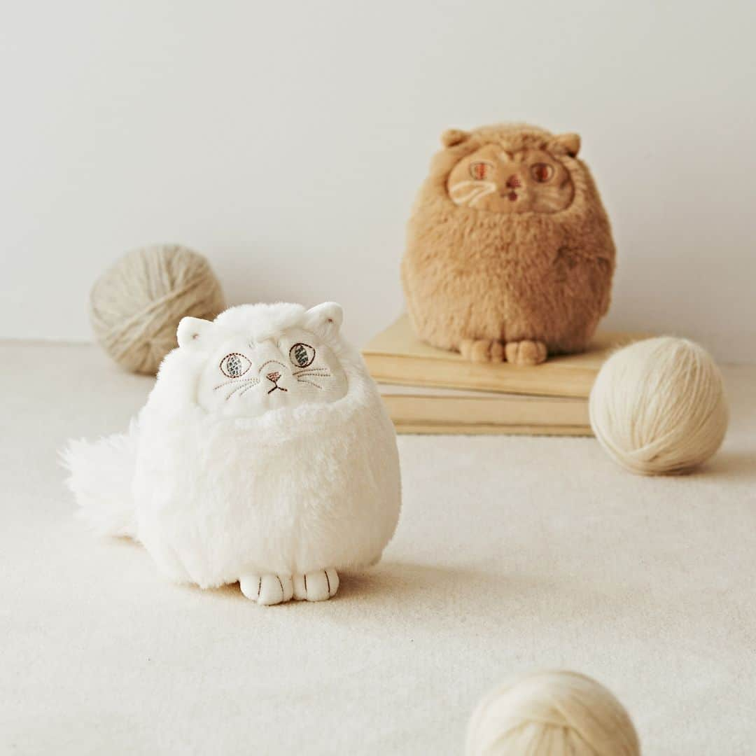 Cat's NapTimeさんのインスタグラム写真 - (Cat's NapTimeInstagram)「【ティータイムを楽しもう】  「Warm with Cats」をテーマにした、 「Cat’s NapTime 」の第9弾のアイテムが好評発売中！ 寒い日に温かい紅茶を楽しめるティーウエアや、 ギフトにも喜ばれるクッキーと紅茶のセットが揃いました。  ペロとハモをイメージしたぬいぐるみは、ネコを抱っこしたときのようなふわふわの触り心地とふさふさのしっぽがポイント！  #AfternoonTea #AfternoonTeaLIVING #アフタヌーンティー #アフタヌーンティーリビング #アフタヌーンティーのある暮らし #catsnaptime #cats_naptime #catsissue #ネコ #雑貨 #ティーウエア #ギフト」10月20日 10時30分 - catsnaptime