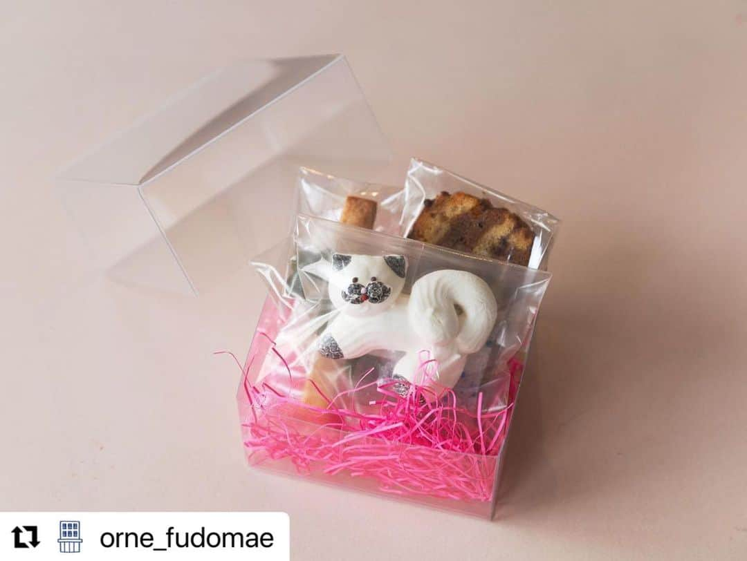 おやつ屋ハイジさんのインスタグラム写真 - (おやつ屋ハイジInstagram)「#Repost @orne_fudomae with @use.repost ・・・ . ／ ORNEKO BOOKのあの子🐈 ＼  おやつ屋ハイジさんのお菓子が本日から店頭に並びます！  ラインナップは以下です。 ・猫のメレンゲとお菓子のセット（1,2枚目） ・栗のケーキ（3枚目） ・ラム酒のマドレーヌ ・いちごのブールドネージュ  誰かにプレゼントしたくなるような、 とってもかわいいお菓子です！  🐱猫ちゃんの模様は1匹ずつ異なります 🐱お取り置きは承れません  ぜひお越しくださいね🐾  10月 OPEN 🍂 20（金）, 21（土）, 22（日）　 27（金）, 28（土）, 29（日）  11:00〜18:30  #おやつ屋ハイジ #猫メレンゲ #ornekobook #ornedefeuilles #オルネコドフォイユ #オルネドフォイユ不動前店 #オルネ不動前 #目黒 #不動前」10月20日 10時56分 - oyatsuya