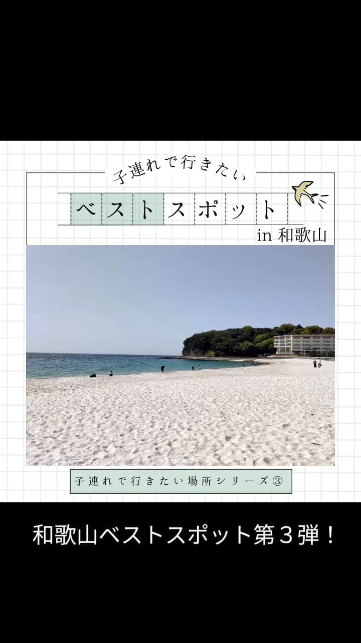 田舎暮らし応援県わかやまのインスタグラム：「和歌山ベストスポット第３弾は、串本海中公園をご紹介します！ 和歌山の海は温暖な黒潮の影響を受け、サンゴや熱帯性の魚たちが美しい景色を織り成しています😊 ここではウミガメを赤ちゃんを間近で見たり、ウミガメに餌をあげることもできます。また海中展望塔では、水深6.3メートルの青く澄んだ海の中を楽しめます。 １１月は最もたくさんの種類のお魚に出会える時期だそう。ぜひ週末のお出かけに串本海中公園へ行ってみてくださいね👍️😊 #wakayama #wakayamagram #wakayamajapan #wakayamatrip #wakayamaprefecture #picnic #travelphotography #traveling #shorttrip #japantravel #japan #和歌山旅行 #和歌山移住したい #和歌山の海 #串本 #串本海中公園 #串本の海 #海が好きな人と繋がりたい #海が好き #水族館 #aquarium #うみがめ #ウミガメに会えた #seaturtle #サメ　#shark #fish  #週末旅行　#魚　#sealife」