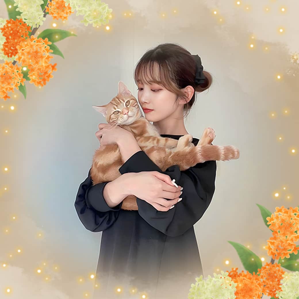 LINE Cameraのインスタグラム：「NEW🤎秋の花が満開です💐 新作フレームを見に来て🥺💕 . New🤎Autumn flowers in full bloom💐 Check out the new frames🥺💕 . @bepu_chan . #linecamera #lineカメラ #ラインカメラ #秋 #fall #autumn #秋の風景 #autumnvibes #autumncolors #autumnmood #金木犀 #コスモス #花 #flower #flowers #オシャレ #ガーリー #加工アプリ #画像加工 #加工画像 #加工 #フレーム #frame #frames」