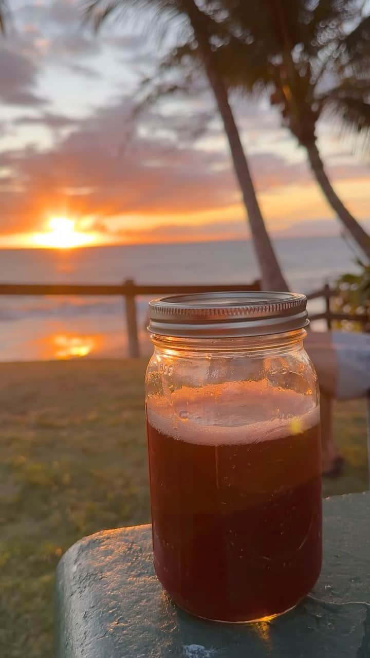 ファレ・シミタイトコのインスタグラム：「A day of drinking #kava at @haleakava with @loupua_hafoka @dylan.dellz @seni.kaytees @tausinga_hafoka @jboogmusic」