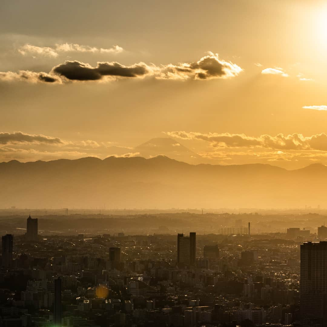 Tokyo City View 六本木ヒルズ展望台のインスタグラム：「ある秋の日、思いがけず、神々しい金色の光に包また東京の街と富士山の姿を見られました。 東京シティビューでは、このような景色に出逢えることもあります✨  東京シティビュー（六本木ヒルズ森タワー52F） tcv.roppongihills.com/jp  撮影：荒谷良一  #六本木ヒルズ展望台 #東京シティビュー #展望台 #夕景 #富士山 #景色 #荒谷良一 #RoppongiHillsObservation #TokyoCityView #TCV #mtfuji #mtfujiphoto_ig #mtfujijapan #mtfuji_fpn #Tokyo # #japantravel #tokyo #roppongi #RyoichiAratani #travelgram #japantrip #japan_daytime_view #japan_of_insta #bestjapanpics #tokyomuseum #artoftheday」