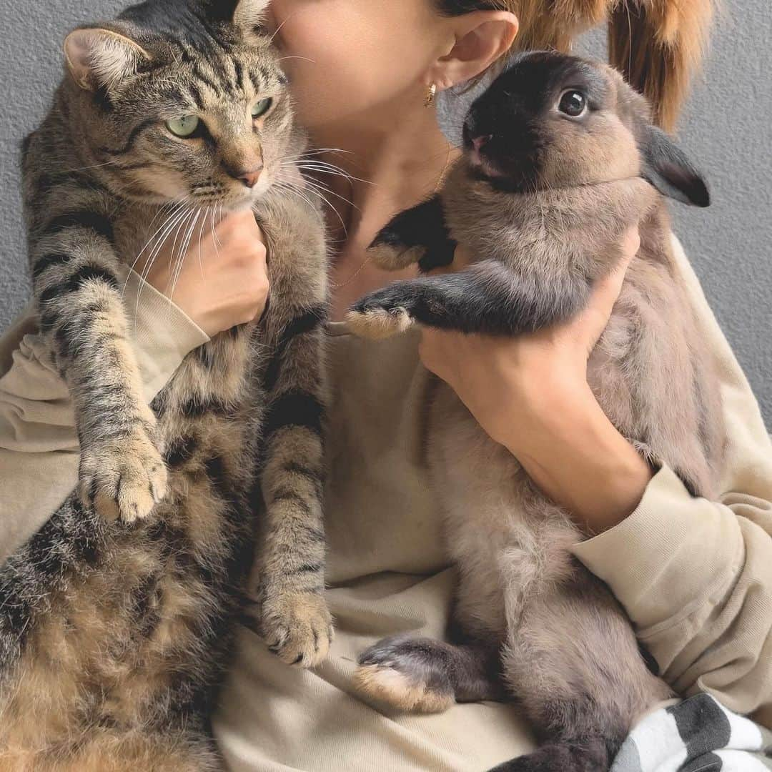 吉川ひなののインスタグラム：「大好きなおじさんたち🐈‍⬛💓🐰」