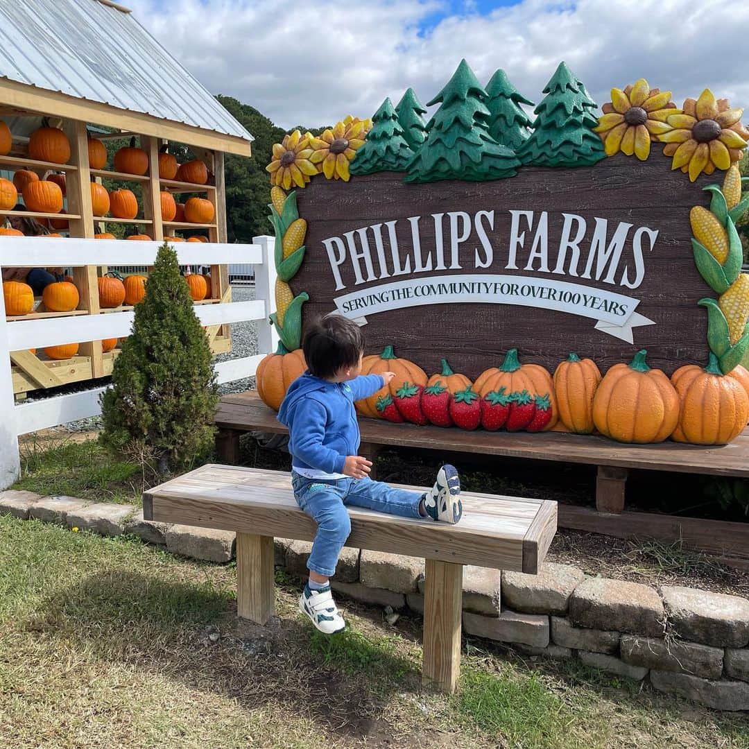 芽華ららさんのインスタグラム写真 (芽華ららInstagram)「𝒑𝒖𝒎𝒑𝒌𝒊𝒏 𝒑𝒂𝒕𝒄𝒉 ⁡ 📍Phillips farms Cary
