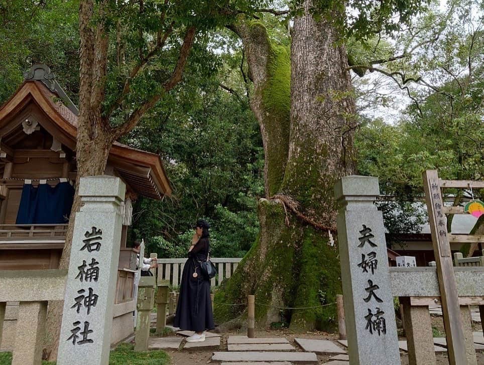 日下裕江さんのインスタグラム写真 - (日下裕江Instagram)「-伊弉諾神宮-  淡路島と言えば、 日本で最初に作られた島🗾  日本書紀や古事記にも記されているそうで、  イザナギノミコトとイザナミノミコトの二柱の神がこの地に降り立ち最初に淡路島を作ったとされています。  その伊弉諾命が祀られてる”伊弉諾神宮”に 淡路島に来たら最初に行きたいなと思っていた場所⛩️✨  厳かな空気に包まれ 日本最古の神社だなという感じが漂ってました⋆*❁*  大きな夫婦大楠も聳え立っていて圧巻🌲 雨に降られることもなく、 1番来てみたかった場所に来れて良かったです😊✨  #伊弉諾神宮 #伊弉諾神宮夫婦大楠 #伊奘諾尊 #伊邪那岐命 #伊奘冉尊 #伊邪那美命 #イザナギノミコト #イザナミノミコト #国生みの島 #くにうみ神話 #国生みの島淡路 #淡路島 #日本書紀 #古事記」10月20日 23時53分 - hiroe___h