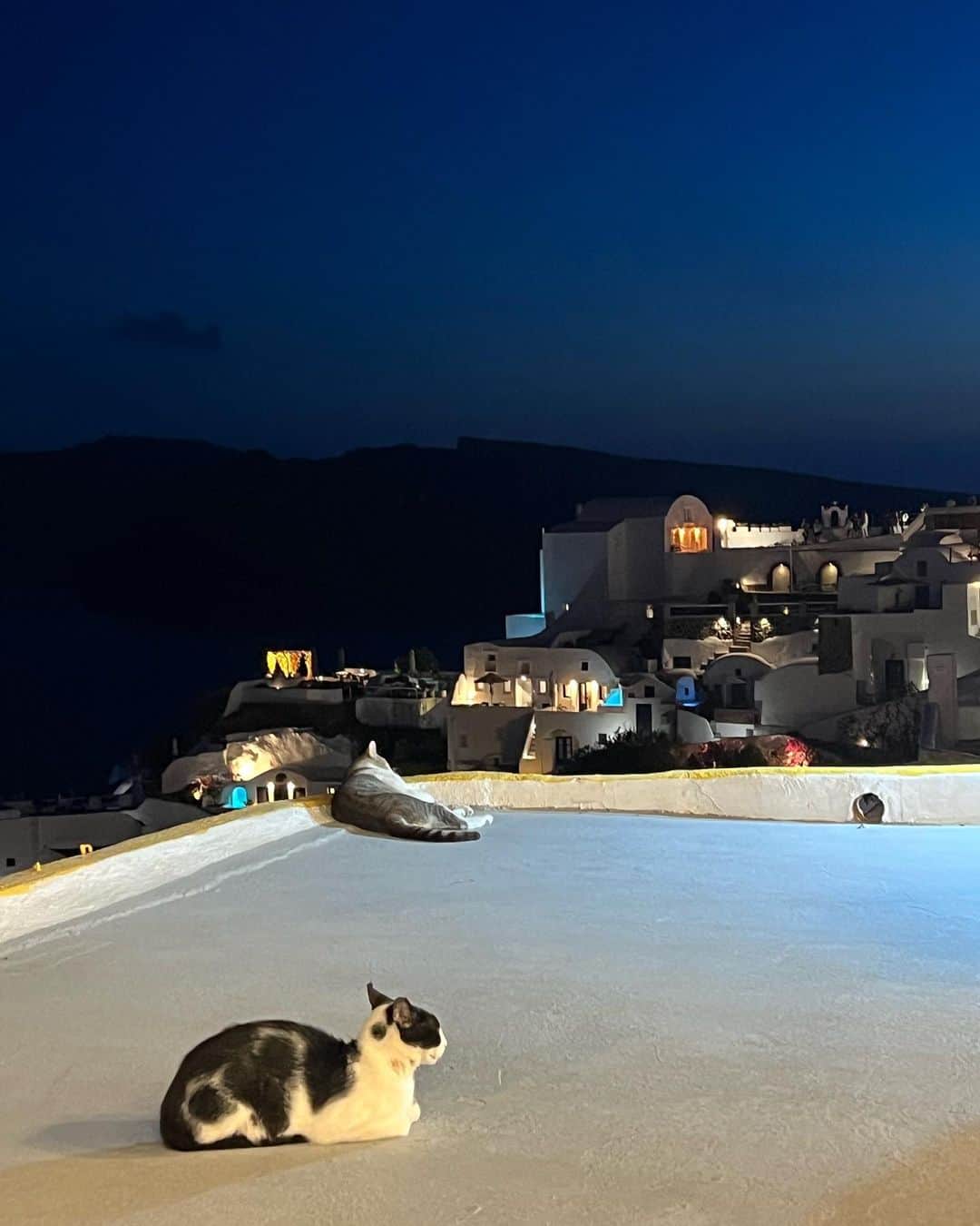 楫真梨子さんのインスタグラム写真 - (楫真梨子Instagram)「昨日投稿した @lycabettus_santorini にはお気に入りのこのワンピースを着ていきました。  夜のサントリーニ島も最高に美しかった🌙  👗 @laubeblanc  #greece  #santorini」10月20日 22時32分 - kajimari1226