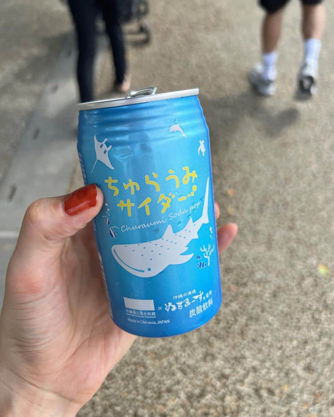 木村沙織さんのインスタグラム写真 - (木村沙織Instagram)「. 初めての水族館が美ら海だなんて、最高だったね🥹👦🏻🫶🏼🐬 . . #沖縄」10月20日 22時55分 - saoriiiii819