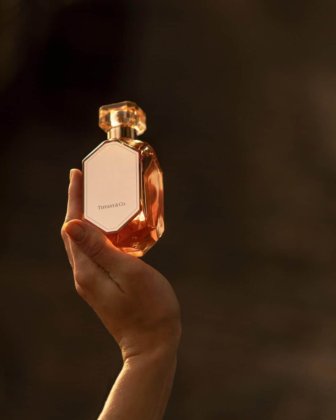 サラ・ミカエラさんのインスタグラム写真 - (サラ・ミカエラInstagram)「{ad} Live intensely with @tiffanyandco Rose Gold Eau de Parfum Intense ✨  This time of year brings out a certain light around sunset; a serene moment of absolute beauty and intensity. It is this feeling that has been so perfectly captured within the Rose Gold Intense. With notes of pink pepper, orange flower and patchouli, it is a beautifully timeless, sensual scent that amplifies our unforgettable moments. What moments embody this feeling for you? ✨ #TiffanyFragrance」10月20日 23時00分 - srhmikaela