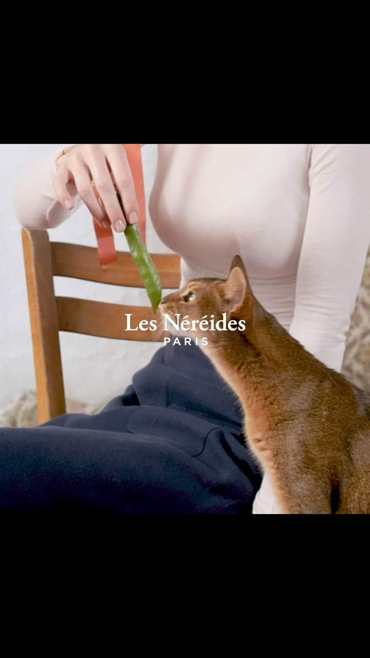 レネレイドのインスタグラム：「Les Néréides Autumn Winter 2024 collections 🍂🍁🐈✨」