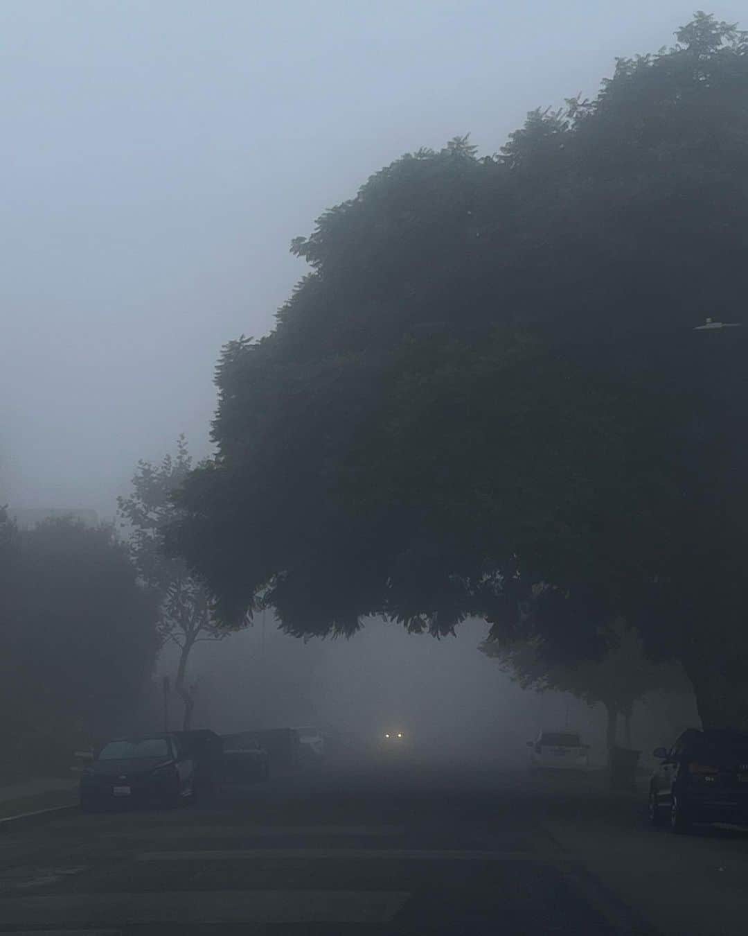 ジェームス・ジーンのインスタグラム：「Marine layer in LA. 6:45am」