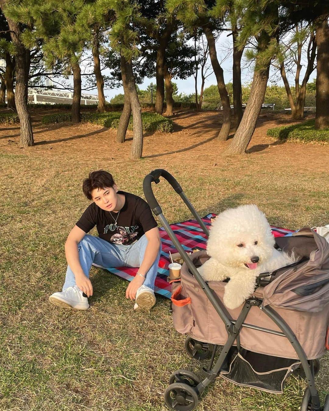池添俊亮さんのインスタグラム写真 - (池添俊亮Instagram)「ピクニック🧺withとろろ🐾  #ピクニック #葛西臨海公園 #とろろ #ビションフリーゼ」10月20日 23時44分 - zoe_boy_0427