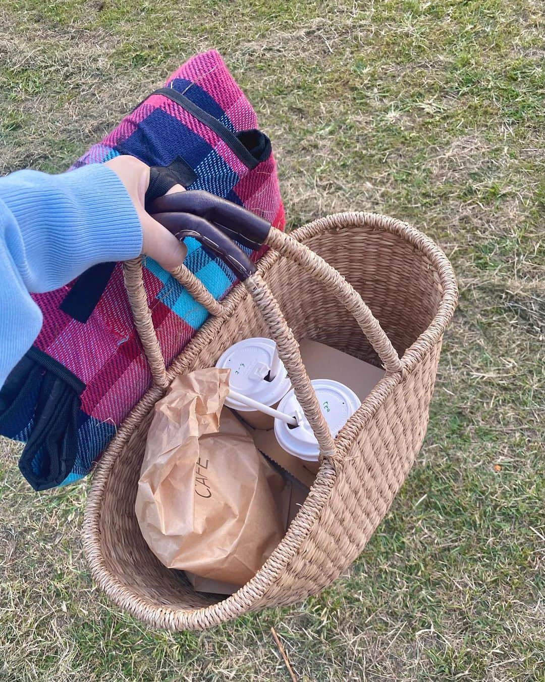 池添俊亮さんのインスタグラム写真 - (池添俊亮Instagram)「ピクニック🧺withとろろ🐾  #ピクニック #葛西臨海公園 #とろろ #ビションフリーゼ」10月20日 23時44分 - zoe_boy_0427