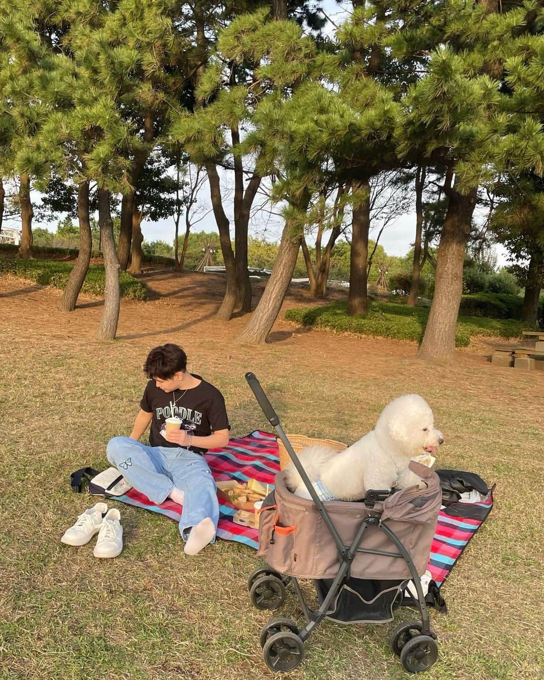 池添俊亮さんのインスタグラム写真 - (池添俊亮Instagram)「ピクニック🧺withとろろ🐾  #ピクニック #葛西臨海公園 #とろろ #ビションフリーゼ」10月20日 23時44分 - zoe_boy_0427