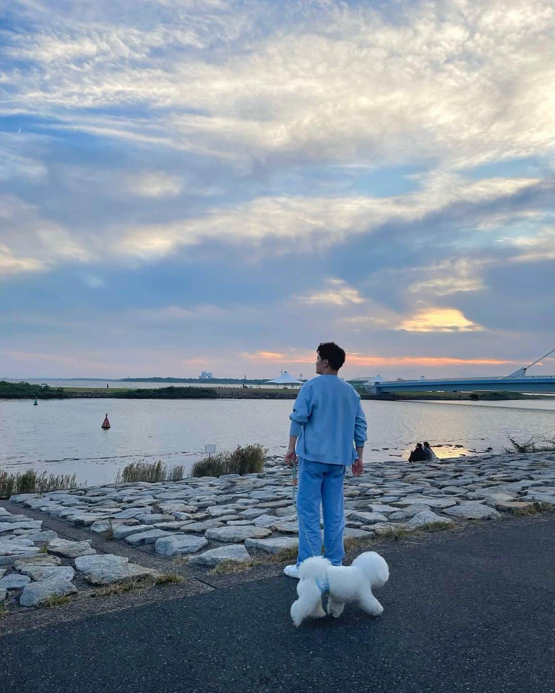 池添俊亮さんのインスタグラム写真 - (池添俊亮Instagram)「ピクニック🧺withとろろ🐾  #ピクニック #葛西臨海公園 #とろろ #ビションフリーゼ」10月20日 23時44分 - zoe_boy_0427