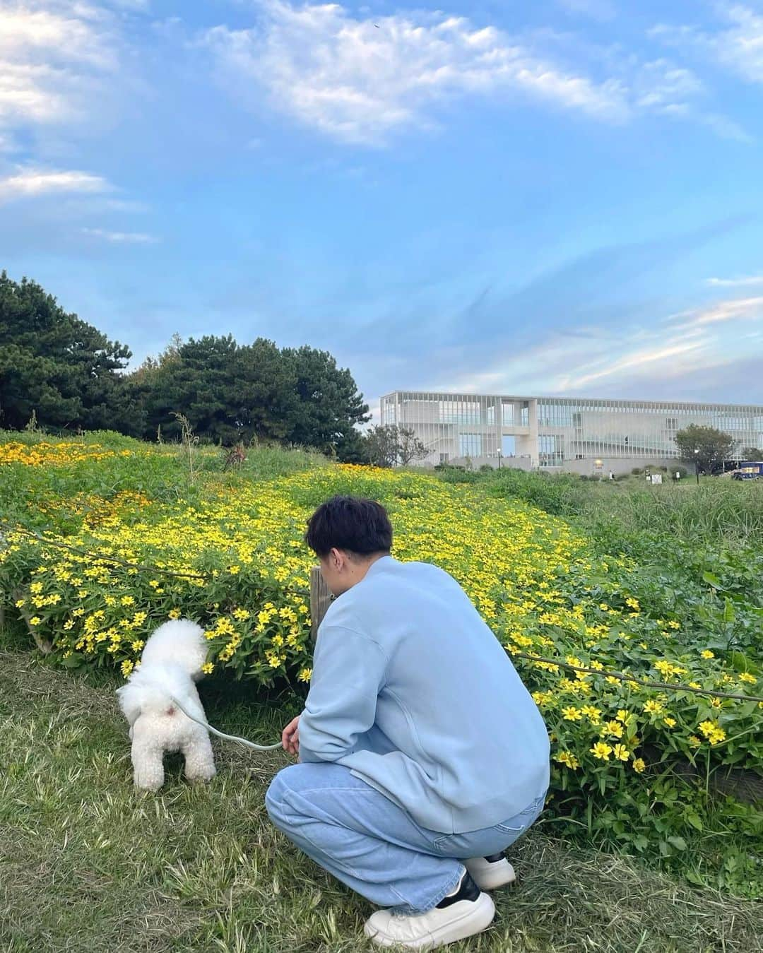 池添俊亮さんのインスタグラム写真 - (池添俊亮Instagram)「ピクニック🧺withとろろ🐾  #ピクニック #葛西臨海公園 #とろろ #ビションフリーゼ」10月20日 23時44分 - zoe_boy_0427