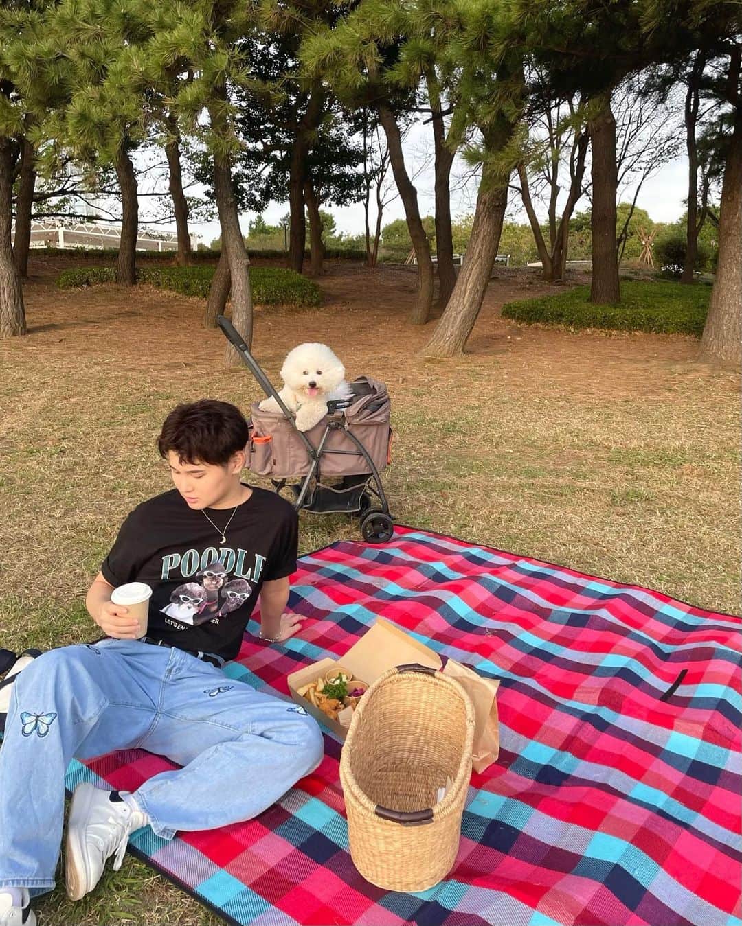 池添俊亮のインスタグラム：「ピクニック🧺withとろろ🐾  #ピクニック #葛西臨海公園 #とろろ #ビションフリーゼ」