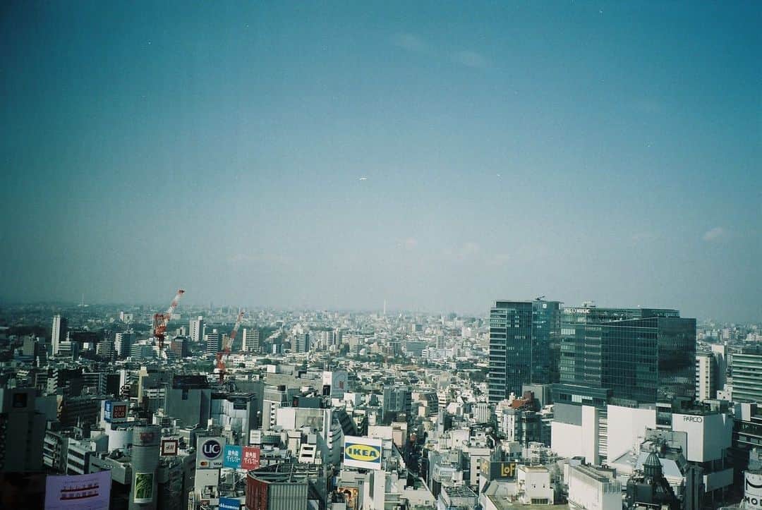 麻絵さんのインスタグラム写真 - (麻絵Instagram)「だいぶ前の。  #麻絵カメラ #フィルムカメラ」10月20日 15時05分 - asaesan