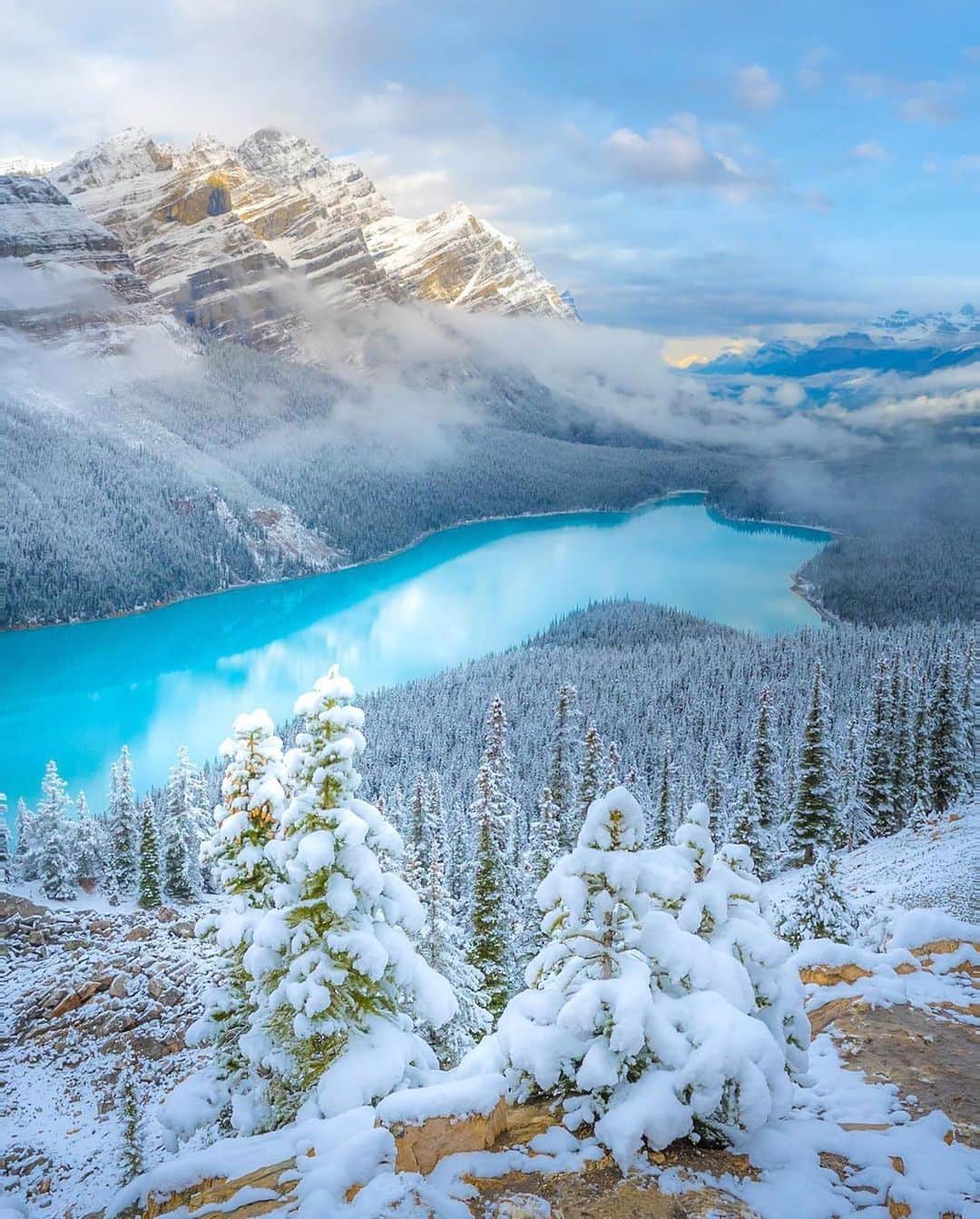 Discover Earthのインスタグラム：「Snow-kissed serenity at Peyto Lake ❄️🌲   📍Peyto Lake, Alberta, Canada  🇨🇦 #DiscoverCanada with @swissclick_photography」