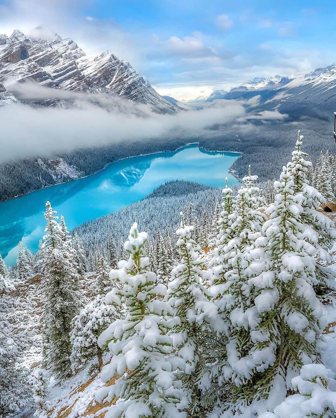 Discover Earthさんのインスタグラム写真 - (Discover EarthInstagram)「Snow-kissed serenity at Peyto Lake ❄️🌲   📍Peyto Lake, Alberta, Canada  🇨🇦 #DiscoverCanada with @swissclick_photography」10月20日 15時09分 - discoverearth
