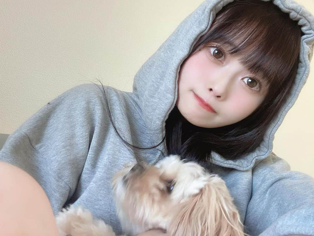 白瀬あかりのインスタグラム：「ぱーかー👌🐶」