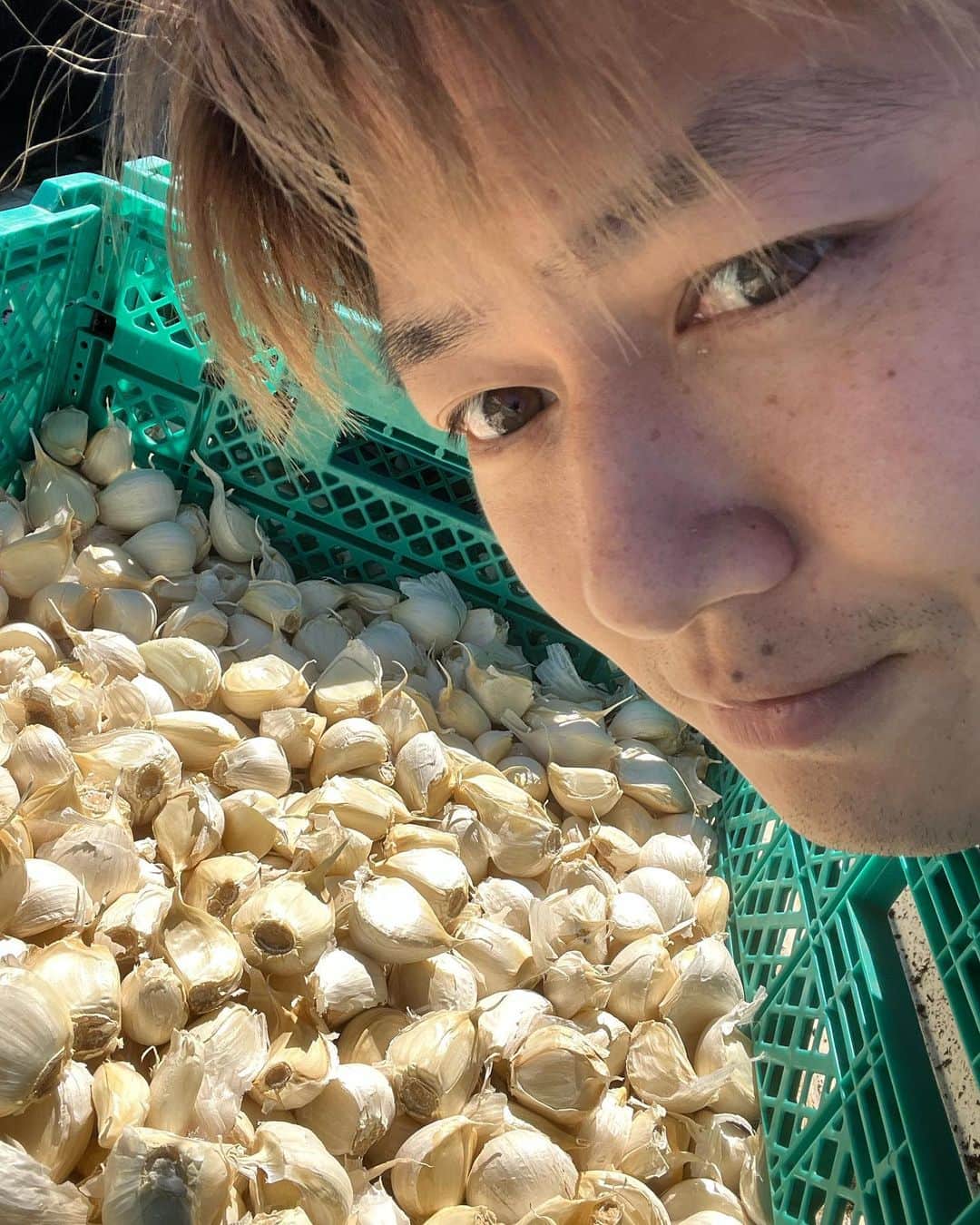 工藤阿須加さんのインスタグラム写真 - (工藤阿須加Instagram)「この前のマルチを貼ったところに植え付けるのは、ニンニク🧄でした😏 今回の品種は「ホワイト六片」 前回は「上海嘉定種」を作りたくさんの方に喜んで頂けたので、個人的にさらに美味しいニンニクを！！ と、思い品種を変えました🤤 来年の6月が楽しみだ！！ 今年は約5000株の植え付けでした🙇  #農業#ニンニク#ホワイト六片 #今年も作付け#美味しい野菜を作りたい #ニンニクLOVE」10月20日 16時41分 - asuka_kudo_ak