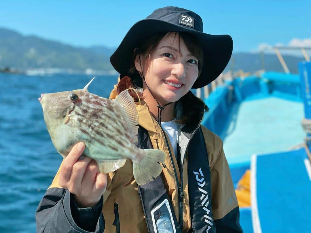 晴山由梨のインスタグラム：「肝パンカワハギ🐟💕  この日は一度掛かってもバレちゃう魚が多かったけど 釣れれば良型揃い✨✨  あれこれ試しながら楽しめました🙆‍♀️  詳しくは明日21日(土)発売の スポーツ報知・釣り面をご覧ください📖  #静岡 #伊東 #はるひら丸 #カワハギ #カワハギ釣り #船釣り #海釣り #沖釣り #エサ釣り #釣り #連載 #スポーツ報知」