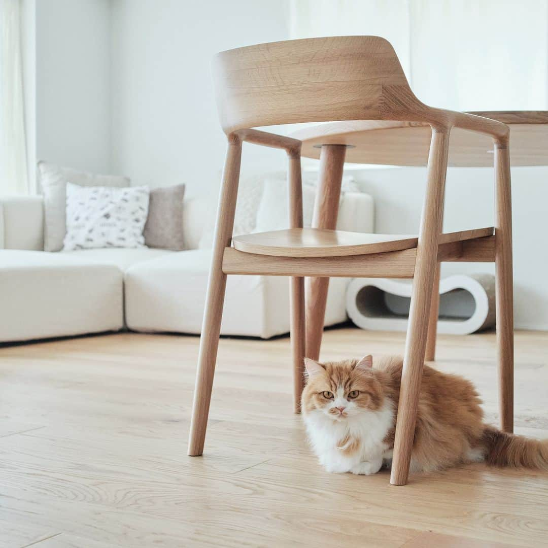 無印良品の家さんのインスタグラム写真 - (無印良品の家Instagram)「【住まいの実例】  ※右上のブックマークのアイコンをタップすると保存できます。  埼玉県所沢市「MUJI INFILL０」 ・築年数：2003年 ・リノベーション完成年月：2021年10月 ・面積：84.9m² / 2階 ・ご家族構成：ご夫婦+猫たち  それぞれのご両親も、お二人の新しい住まいを気に入ってくれているそう。1年経って、お互いにアレンジしたいところも出てきています。 「より快適にリモートワークができるように、インターネット回線を変えたいなと考えています。あと、見せる収納もこれからは意識していきたいなと思っています」（ご主人） 「テレビなどの電化製品がないので、壁に余白が多いんです（笑）。それを生かして、気に入って集めている置物などを飾りたいなと思って、いろいろシミュレーションしているところです」（奥さま）  「MUJI INFILL 0」でリノベーションした住まいでの暮らしを堪能しているご夫妻に、これからリノベーションを考えている方々にむけて、アドバイスをいただきました。  「妥協しないポイントを決めておくといいと思います。特に照明の位置や床の素材といった毎日使うアイテムや、生活音の漏れ具合などといった暮らしに直結するポイントは、担当の方とも相談しながら、納得いくまで検討することをおすすめします。それらが心地よく感じることができれば、長く快適に暮らしていける住まいになると思います」  2022.5.17公開住まいの実例『適度な余白と書斎を作ることで、家で過ごす時間がとても快適になりました』より  詳しくはプロフィールハイライトか、「無印良品のリノベーション」webサイトをご覧ください。  @mujihouse  #無印良品の家 #無印良品のリノベーション #無印良品 #リノベーション #中古マンション #中古マンションリノベーション #リノベーションマンション #muji #mujihouse #MUJIINFILL0 #おうちづくり #施工事例集 #シンプルな間取り #マンションリノベーション #洗面所 #壁面収納 #無印収納 #寝室 #ベッドルーム #クローゼット #クローゼット収納 #玄関収納 #玄関土間 #ワークスペース #書斎」10月20日 17時00分 - mujihouse