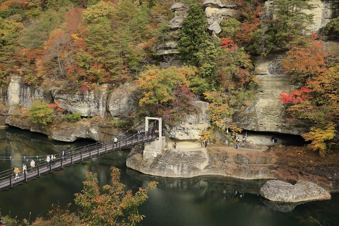 福島県のインスタグラム：「【塔のへつりの紅葉（下郷町）】  塔のへつりは国指定の天然記念物で、「へつり」とは会津地方の方言で険しい断崖を意味しています。何万年もの歳月をかけて、侵食と風化を繰り返した奇石と絶壁が塔のように見えることからその名が付けられました。  秋は紅葉の名所として知られており、例年10月下旬から11月上旬にかけて、モミジやナラなどの広葉樹が断崖を黄色や赤など色鮮やかに染めます。  目の前いっぱいに広がる美しい紅葉を見に、ぜひ一度足を運んでみてはいかがでしょうか？  #塔のへつり #紅葉 #紅葉スポット #下郷町 #南会津地方 #福島県 #shimogotown #fukushima #RealizeFukushima #NotADreamFukushima #ひとつひとつ実現するふくしま」