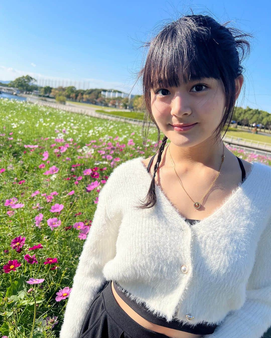 伊與田綾音のインスタグラム：「コスモス綺麗だった😽 もうそろそろしたらイチョウや紅葉が楽めますね🍁  #コスモス #秋 #おすすめ #紅葉 #イチョウ  #09 #ljc #ljcの素敵な思い出 #jc3 #中学生 #中学3年生女子 #伊與田綾音」