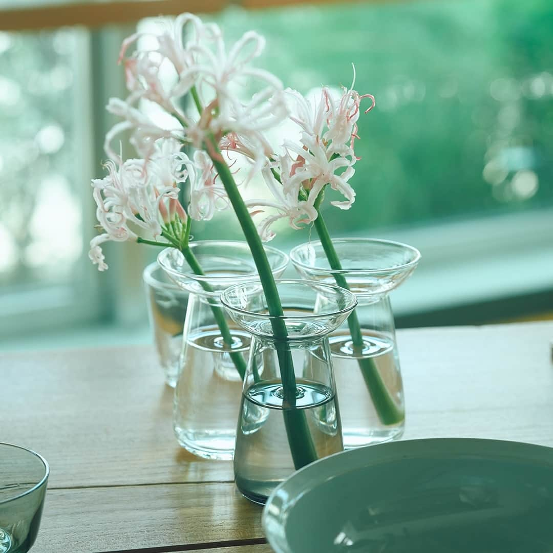 KINTOのインスタグラム：「水耕栽培の器としても花瓶としても活用できるAQUA CULTURE VASE。多様な植物の成長や手入れのしやすさを考慮し、2つのパーツで構成されています。店頭では実際に植物を生けた様子をご覧いただけます。⁠ ⁠ *在庫は流動的なため、商品によっては欠品の場合がございます。当日の在庫状況は店舗スタッフへお声かけください。⁠ ⁠ ---⁠ AQUA CULTURE VASE is designed to celebrate the beauty of leaves growing and roots extending in the water. It is composed of 2 parts, the plate and the vase, which make taking care of plants easy. You can view this item in person at KINTO STORE Tokyo along with our botanical display.⁠ ⁠ ---⁠ Share us your moments with KINTO items by tagging @kintojapan⁠ .⁠ .⁠ .⁠ #kinto #キントー #kintostoretokyo」