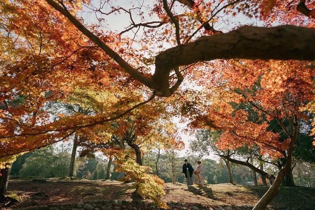 ラヴィ•ファクトリーのインスタグラム：「. 【写真で叶える結婚式】 . 鮮やかな紅葉が美しい1枚📸 美しい紅葉は和装も洋装も美しく彩り、 表情を変える街並みをお楽しみただけます🍁 . —————— ラヴィファクトリー:@osaka_laviephotography AREA:JAPAN,OSAKA —————— @laviefactoryをフォローして #laviefactory #ラヴィファクトリー のハッシュタグをつけて お写真を投稿してみてくださいね✳︎ . こちらの公式IG（@laviefactory） で取り上げさせていただきます✨ . 思わず笑顔になれるハートのある 「家族写真」はラヴィクルール* >>>@laviecouleur_official . #wedding #weddingphotography #photo #ハートのある写真 #instawedding #結婚写真 #ウェディング #ウェディングフォト #撮影指示書 #ロケーションフォト #前撮り#写真好きな人と繋がりたい #フォトウェディング #卒花 #後撮り #ウェディングニュース #前撮り小物 #前撮りフォト #前撮りアイテム #ウェディング撮影 #撮影構図 #前撮りアイディア #撮影指示書 #花嫁コーディネート #花嫁コーデ #和装ロケフォト #紅葉前撮り #紅葉フォト」