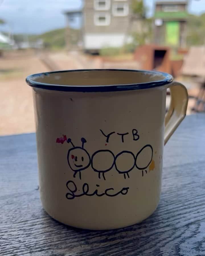 CHARAのインスタグラム：「風が強くてウィスパーを持っていかれるー 千葉に来ています。  明日は久しぶりのYTB活動  夜は冷え込むから、来られる方は 上着やら帽子やら　ご準備を  ステージから揺れる 黄色い小林武史さんくらいのヒョロリと大きな植物が気になって歩いて見に行くと 小林さんに聞いたら "ひまわり"って言ってたんだけど その裏にあるのが ひまわりで正解でした  私が気になって近いたのは "エニシダ"  魔女が昔に、束ねて魔法の箒を作ったとか？ 魔女の住んでいる所には生い茂っているとか  ここには、魔女がいるのかもしれない  と思ったのでした。  エニシダの写真撮り忘れました。」