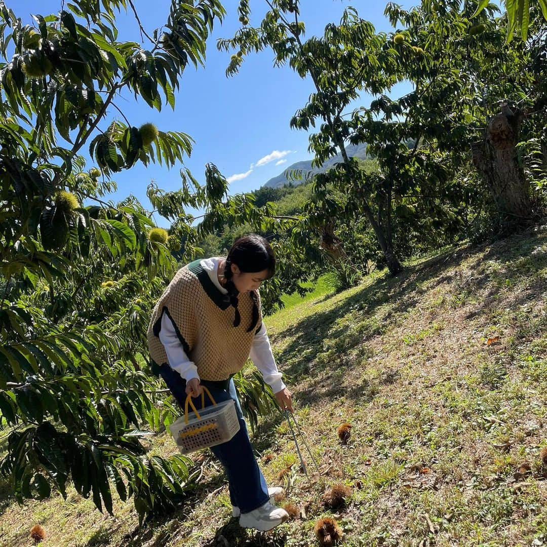 国本梨紗さんのインスタグラム写真 - (国本梨紗Instagram)「ズムサタで栗拾いに行った写真🌰  皆さん秋らしいことはしましたか〜？ 私は読書の秋だから🍁📖 小説と漫画を買ったよ〜  ベスト　 @doublename_official  デニムパンツ @lilliancarat_official」10月20日 17時44分 - risa__kunimoto