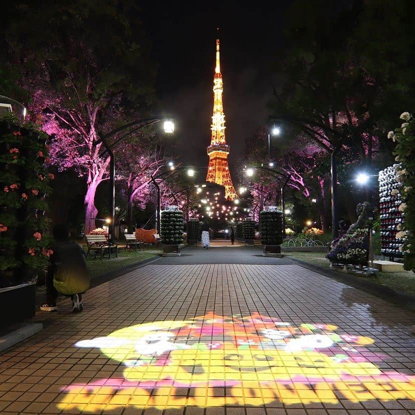 東京タワーさんのインスタグラム写真 - (東京タワーInstagram)「. 今年、東京タワーの近くにある 都立芝公園は、なんと150周年を迎えました！  おめでとうございます🎉 150周年、凄いですね〜！！  現在、芝公園では 特設花壇 & ライトアップでお祝いをする 「花と光のムーブメント」 芝公園×150th anniversaryが 4号地にて、11月19日まで開催中！  芝公園内のライトアップは 東京タワー🗼のランドマークライトに 合わせており、  また、園内では 東京タワーを写して自撮りができる ミラー装飾などもあるようです✨  期間限定も含めて、 他にも様々なイベントが催されているので 是非、チェックしてみてください↓↓↓ @tokyo_parks  改めまして150周年 おめでとうございました😄！！  ———————————  【 お知らせ 】  ■ Your Tokyo Tower 🗼  # your_tokyotowerで あなたの東京タワーをリポスト！  @tokyotower_official の タグ付けをしてくれると見つけやすいよ！  皆様からの投稿 どしどしお待ちしております！  ■ 公式LINE  東京タワー公式LINEでは 東京タワーのイベント情報を お届けしています！  詳細はプロフィールにあるリンクから↓ @tokyotower_official  ———————————  #東京タワー #東京タワー🗼  #tokyotower #tokyotower🗼  #芝公園」10月20日 17時52分 - tokyotower_official