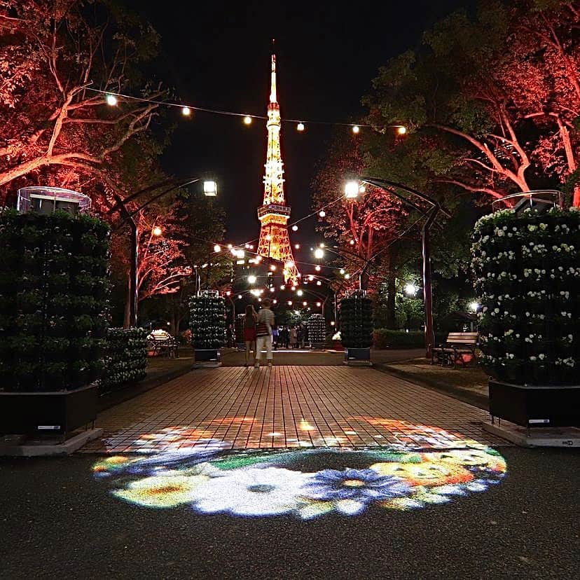 東京タワーのインスタグラム：「. 今年、東京タワーの近くにある 都立芝公園は、なんと150周年を迎えました！  おめでとうございます🎉 150周年、凄いですね〜！！  現在、芝公園では 特設花壇 & ライトアップでお祝いをする 「花と光のムーブメント」 芝公園×150th anniversaryが 4号地にて、11月19日まで開催中！  芝公園内のライトアップは 東京タワー🗼のランドマークライトに 合わせており、  また、園内では 東京タワーを写して自撮りができる ミラー装飾などもあるようです✨  期間限定も含めて、 他にも様々なイベントが催されているので 是非、チェックしてみてください↓↓↓ @tokyo_parks  改めまして150周年 おめでとうございました😄！！  ———————————  【 お知らせ 】  ■ Your Tokyo Tower 🗼  # your_tokyotowerで あなたの東京タワーをリポスト！  @tokyotower_official の タグ付けをしてくれると見つけやすいよ！  皆様からの投稿 どしどしお待ちしております！  ■ 公式LINE  東京タワー公式LINEでは 東京タワーのイベント情報を お届けしています！  詳細はプロフィールにあるリンクから↓ @tokyotower_official  ———————————  #東京タワー #東京タワー🗼  #tokyotower #tokyotower🗼  #芝公園」
