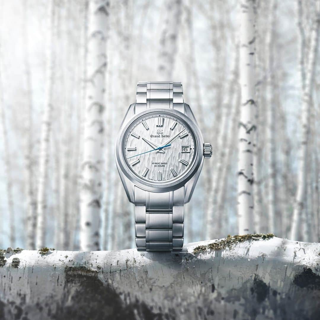Grand Seiko Official instagramのインスタグラム：「【Grand Seiko Evolution9 Collection #SLGH005 】​  「グランドセイコースタジオ 雫石」がある岩手県の、平庭高原の澄んだ空気をまとい、すらりと高く伸びた白樺。その白樺が幾重にも林立する神秘的な光景から感じられる、自然の美しさや力強さをダイヤルで表現。​ 白樺林の壮麗さと力強さを感じることができます。​  #grandseiko #グランドセイコー #thenatureoftime #aliveintime​」